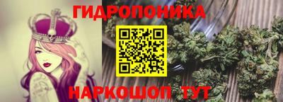 мяу мяу мука Партизанск