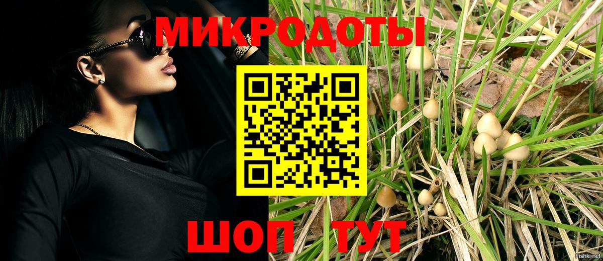 Псилоцибиновые грибы мухоморы Советск
