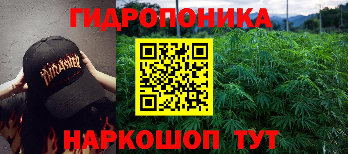 Конопля MAZAR Советск